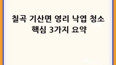 낙엽 청소 전문가가 알려주는 칠곡 기산면 영리 낙엽 청소 꿀팁!🍂