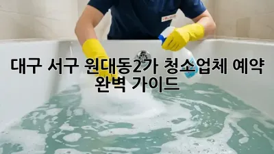 대구 서구 원대동2가 청소업체 예약 완벽 가이드